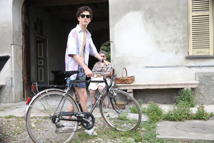 Timothée Chalamet (Elio Perlman)