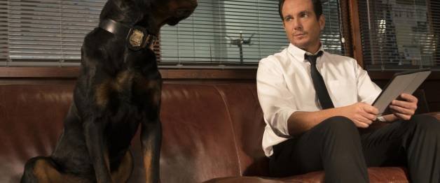 Show Dogs