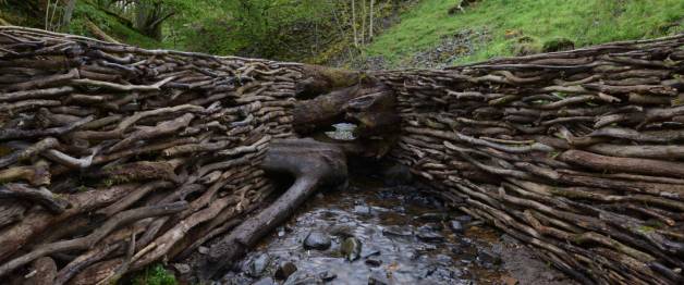 Leaning Into the Wind: Andy Goldsworthy