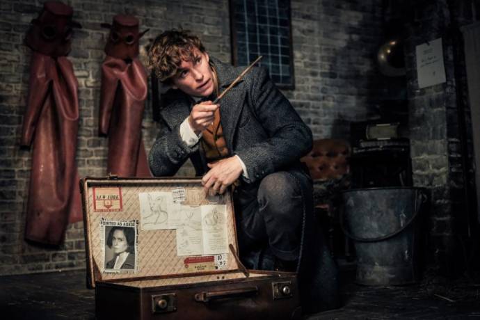 Eddie Redmayne (Newt Scamander) in Fantastic Beasts Marathon 3D