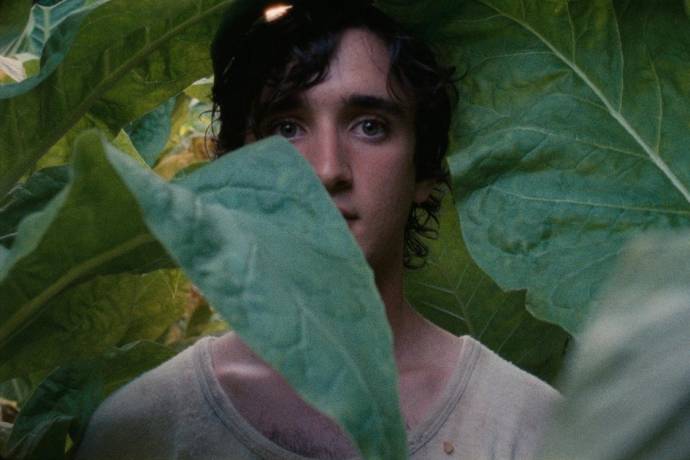 Adriano Tardiolo (Lazzaro)