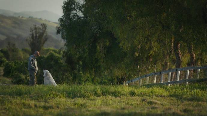 The Biggest Little Farm filmstill