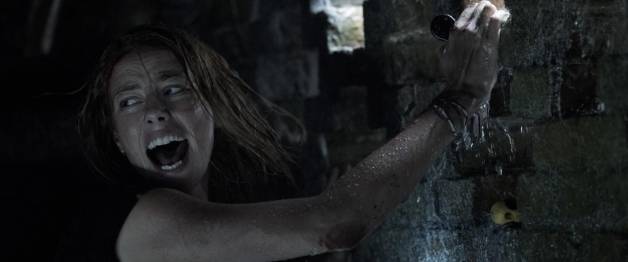 Crawl