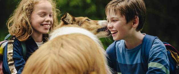 Lassie Come Home (NL)