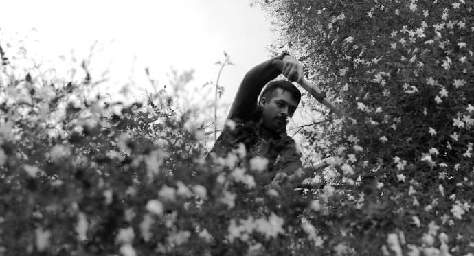 Daniel Katz