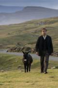 Colin Farrell in The Banshees of Inisherin Colin Farrell in The Banshees of Inisherin