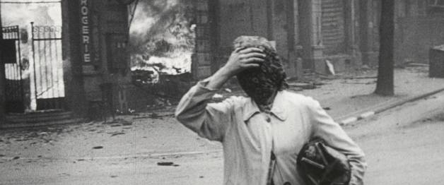 The Natural History of Destruction