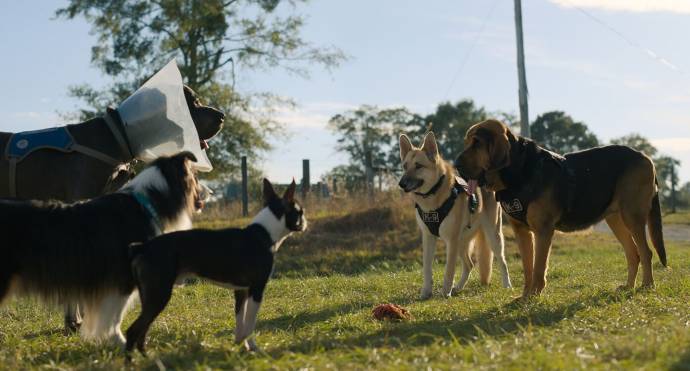 Doggy Style filmstill