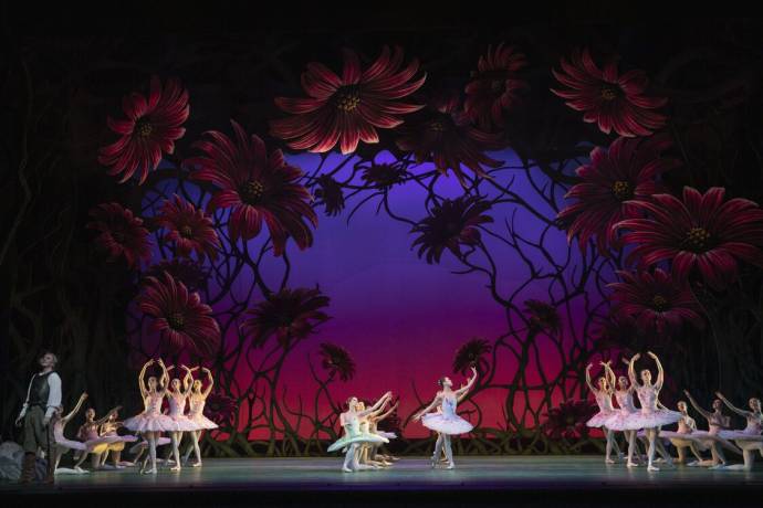 ROH 23/24: Don Quichot filmstill