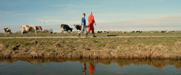 Vogels kun je niet melken