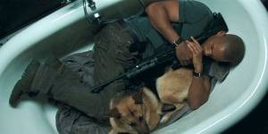 Still: I Am Legend