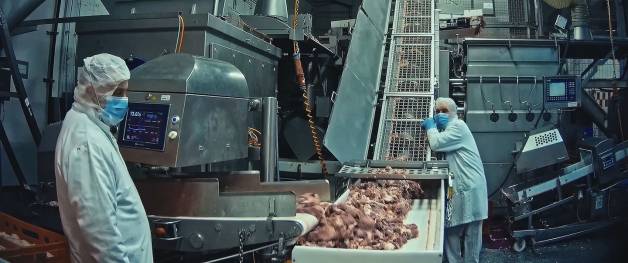 Food for Profit