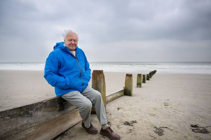 David Attenborough (Self)