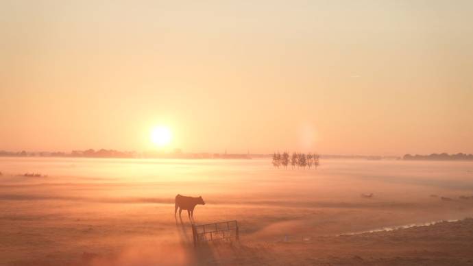 Hoop in de Hoep filmstill