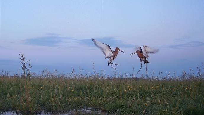 Hoop in de Hoep filmstill