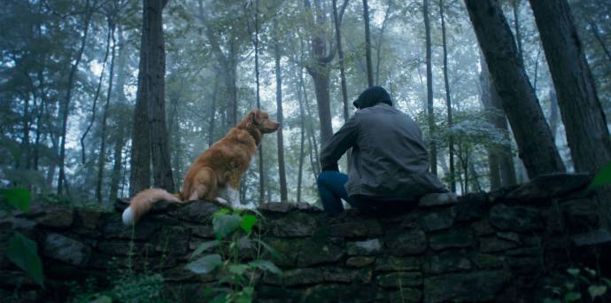 Good Boy filmstill