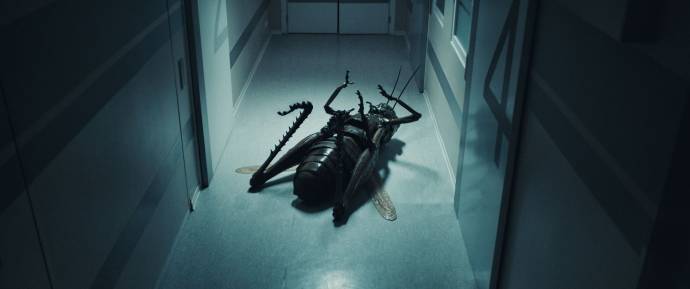 The Kiss of the Grasshopper filmstill