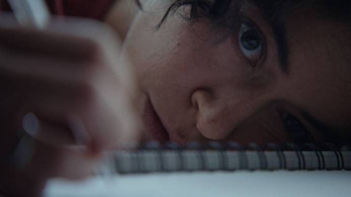 Tatiana Maslany (Liz)