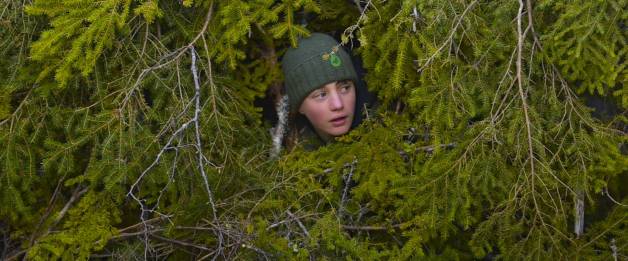 Whispers in the Woods