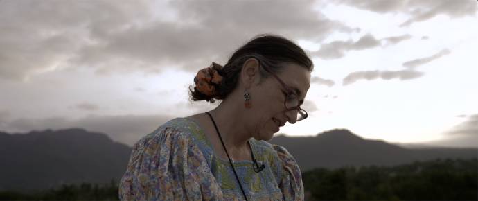 The Shipwrecked filmstill