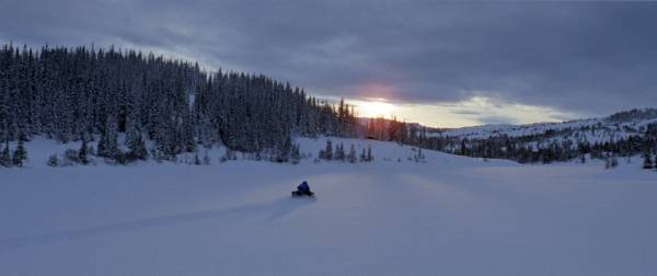 North filmstill