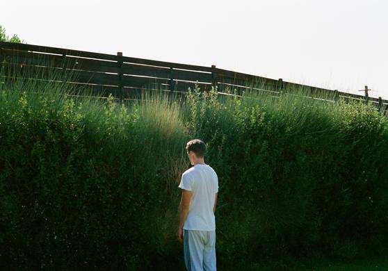 Dogtooth filmstill