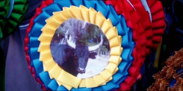 Lou Biou - Feest van de Fabelachtige Stier filmstill