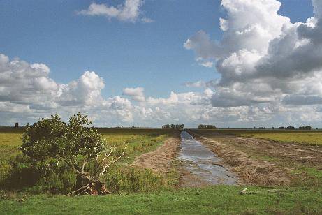 Weemoed & Wildernis filmstill