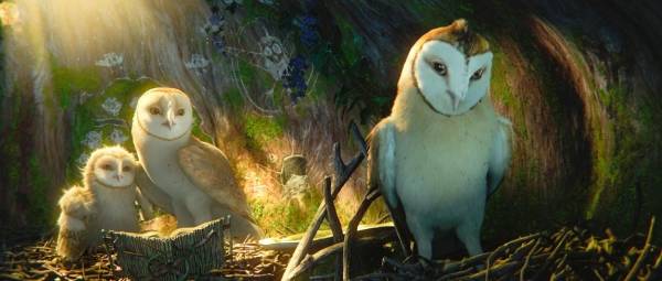 Legend of the Guardians: The Owls of Ga'Hoole filmstill