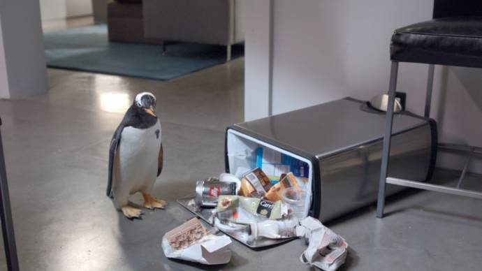 Mr. Popper's Penguins filmstill