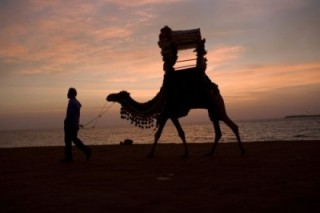 Where in the World Is Osama Bin Laden?