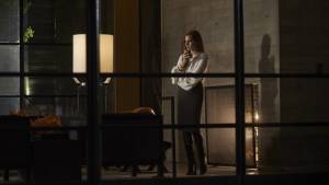 Nocturnal Animals: Amy Adams (Susan Morrow) Nocturnal Animals: Amy Adams (Susan Morrow)