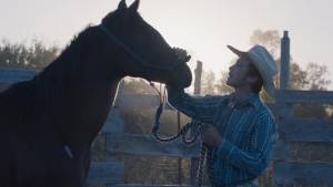 The Rider: Brady Jandreau (Brady Blackburn) The Rider: Brady Jandreau (Brady Blackburn)