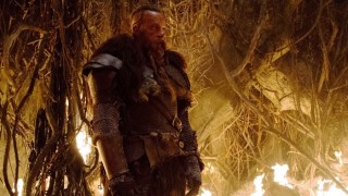 Vin Diesel in The Last Witch Hunter