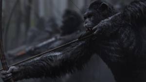 War for the Planet of the Apes filmstill War for the Planet of the Apes filmstill
