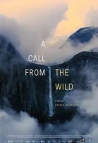 A Call from the Wild poster