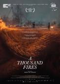 A Thousand Fires (2021)