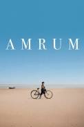 Amrum