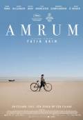 Amrum