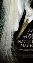 An Art That Nature Makes: The Work of Rosamond Purcell poster