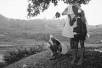 Ashes of Life, the Annual Rituals of Laboya, Sumba 1996: Part III