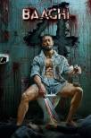 Baaghi 4