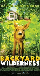 Backyard Wilderness (NL) poster