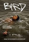 Bird (2024)