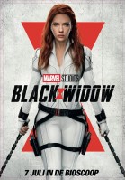 Black Widow 3D poster