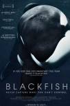 Blackfish