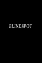 Blindspot (2008) poster