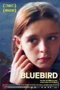 Bluebird (2004)