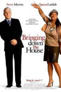 Bringing Down the House (2003)