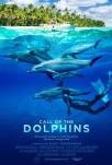 Call of the Dolphins